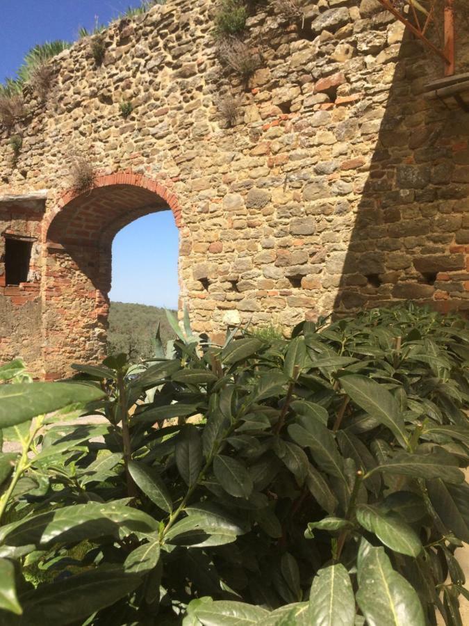Mansarda Degli Ulivi Apartman Rigomagno Kültér fotó