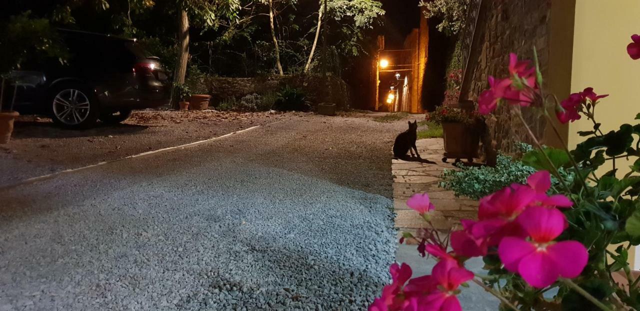 Mansarda Degli Ulivi Apartman Rigomagno Kültér fotó